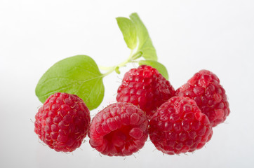 Himbeere, Raspberry, Rubus idaeus