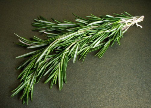 Rosemary branch