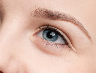 Fototapeta na wymiar Cosmetic paint brush - close-up portrait of eye shadow zone
