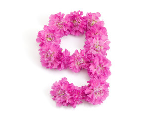 The number nine from flowers