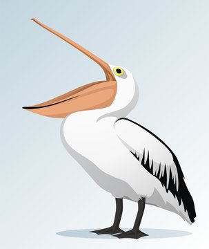 recommend clip art: Pelican