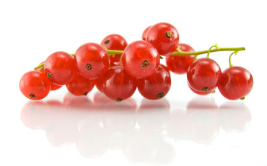 Isolated red currant