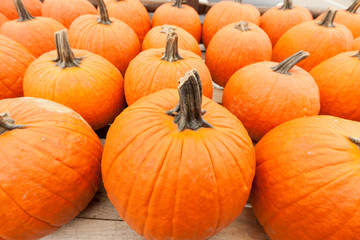 Pumpkins at the farmer market.