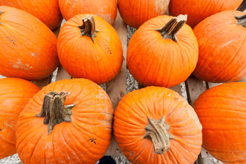 Pumpkins at the farmer market.