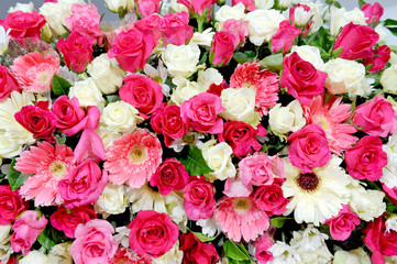 colorful blooms