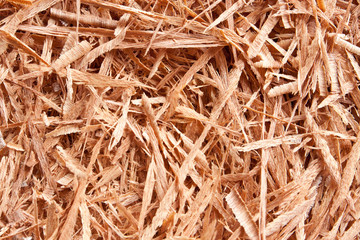 sawdust wood