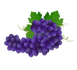 Violet grape