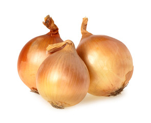 Onion isolated