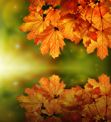 Fairy autumn night | reflection on water