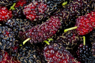 Mulberries
