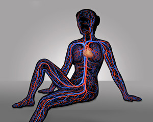 Frau mit Blutgef&auml;&szlig;en