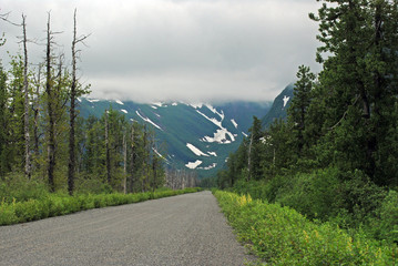Road Heading into the Wilderness