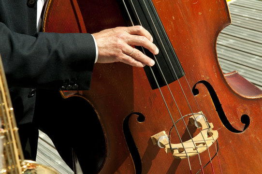 musicians playing instruments in the sun