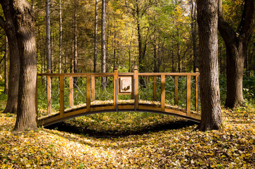 Деревянный мостик в парке.