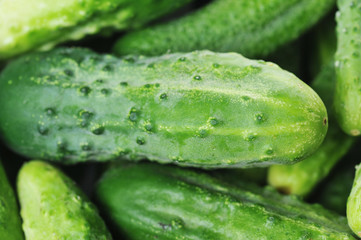 green cucumbers.