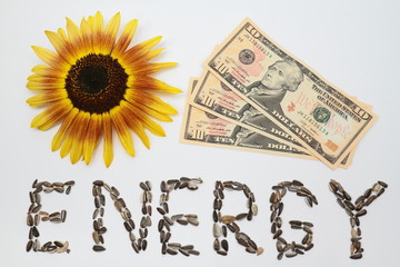 Sun energy saves money
