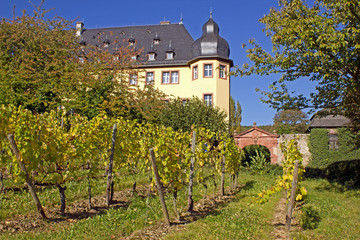 Fototapeta na wymiar Vollrads Zamek z winnic w Rheingau (Hesja)