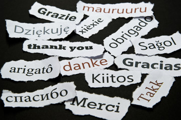 Danke in mehrerern Sprachen