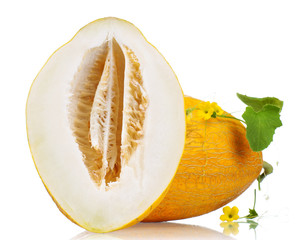 Cantaloupe melon