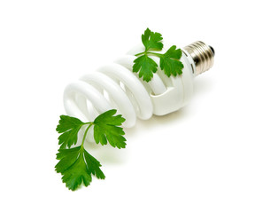 Fluorescent energy saving light bulb with green plant