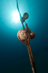Mooring rope and sun in the Red Sea.