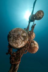 Mooring rope and sun in the Red Sea.