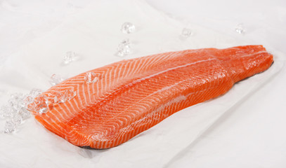 fresh raw salmon fillet