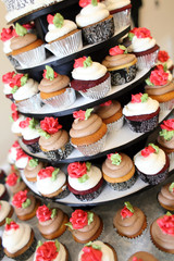 Various gourmet cupcakes on display tray.