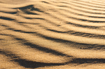 Fototapeta na wymiar Wavy dune texture