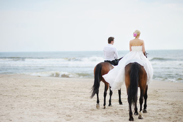 Beach wedding: bride and groom on a horses by the sea