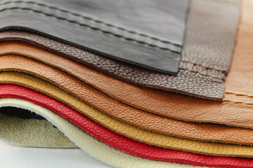 Leather upholstery samples