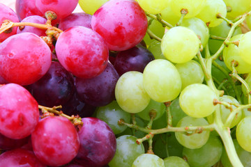 Naklejka na ściany i meble Background image of red and green grapes