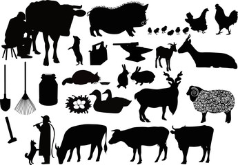 Farm agriculture animal birds of the tool