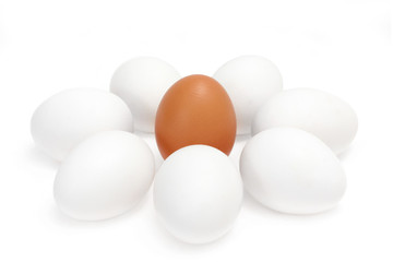 Eggs