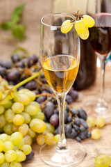wine sampling