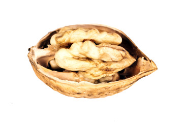 halbe Walnuss, Makro