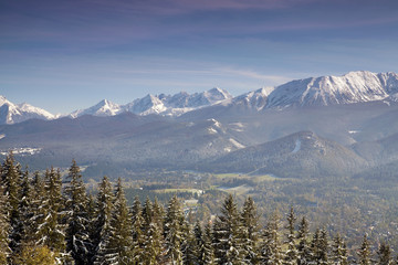 Panoramic view of Tatra Mountain © malajscy
