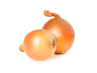 Onion isolated