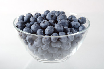 Heidelbeere, Blueberry, Vaccinium myrtillus