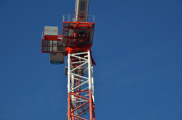 grues