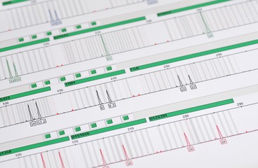 DNA Profil - genetischer Fingerabdruck