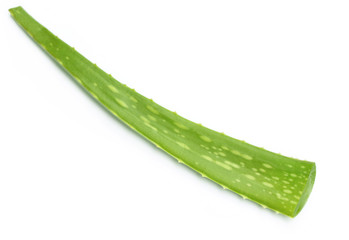 Fresh medicinal aloe vera