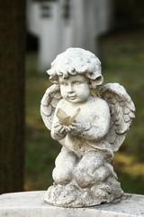 Fototapeta na wymiar Engel auf Friedhof