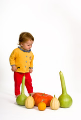 Fototapeta premium Cute little baby with colorful pumpkins isolated on white