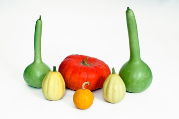 Different kind of pumpkins isolated on white background