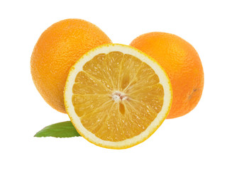 Oranges isolated