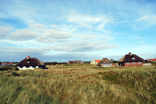 Blavand Bilder Durchsuchen 1,296 Archivfotos, und