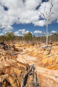 soil erosion  by overgrazing
