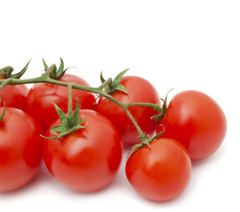 tomatoes