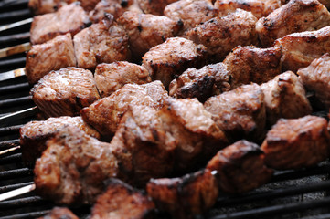 Shish Kebab